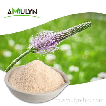 Husk Psyllium Dietary Fiber สารสกัดจากเปลือก psyllium